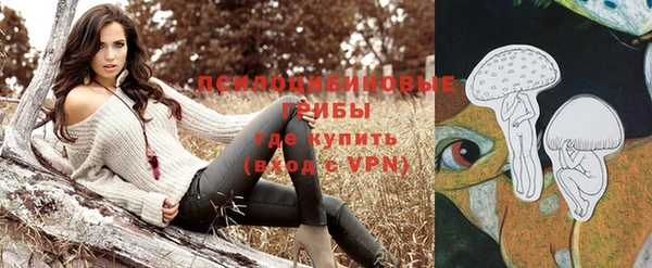 ГАЛЛЮЦИНОГЕННЫЕ ГРИБЫ Алексеевка