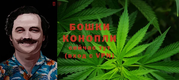 ГАЛЛЮЦИНОГЕННЫЕ ГРИБЫ Алексеевка