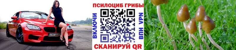 дарнет шоп  это состав  Галлюциногенные грибы мицелий  Перевоз 